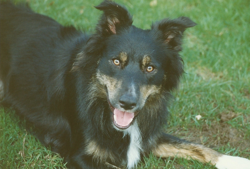 You taking MY picture